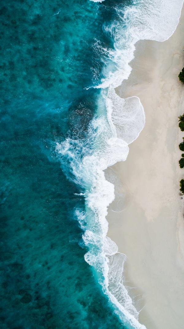 Clean Oceans Coalition
